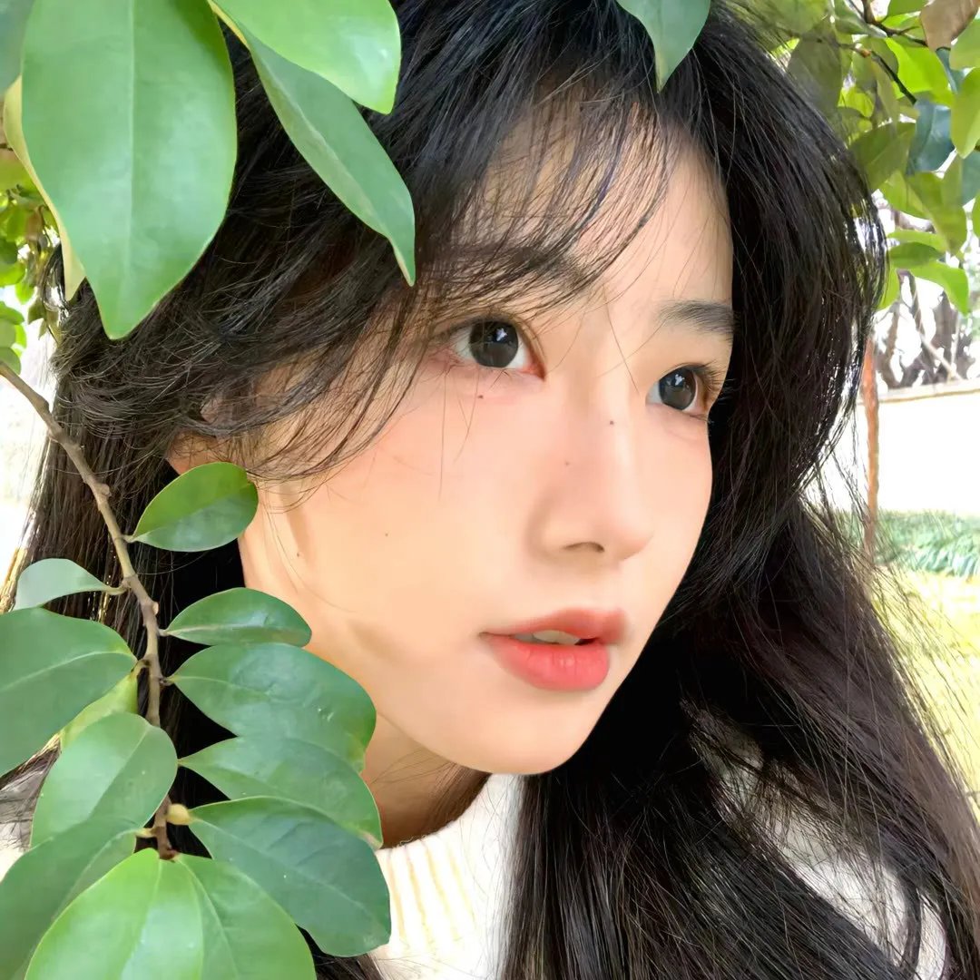 娇凤痴鸾